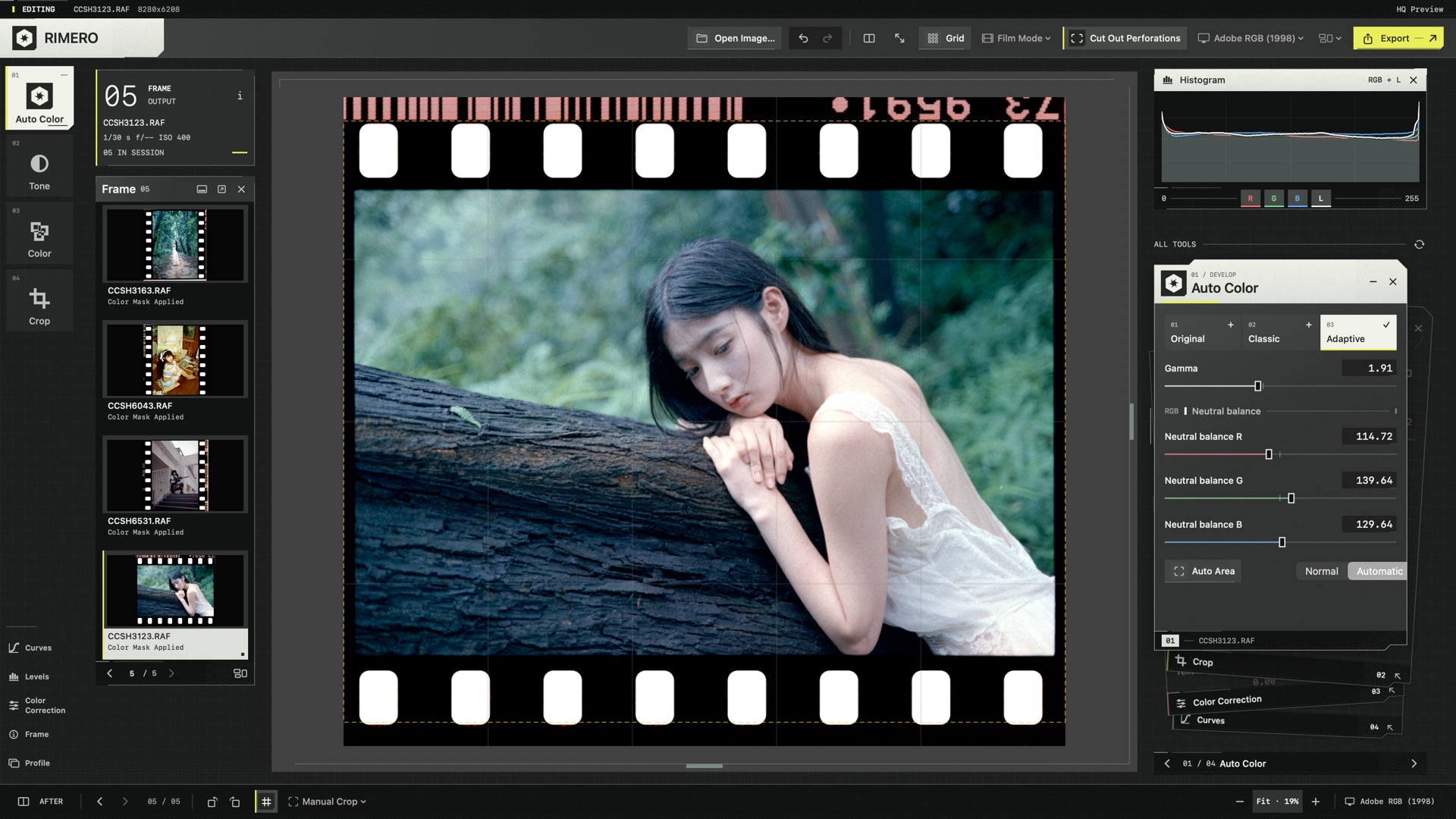 The same negative rendered with Adaptive Auto in RIMERO.